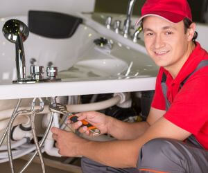 About Plumbers Pros Osteen, FL